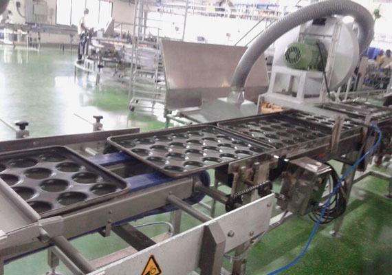 bakery consultant in tamilnadu