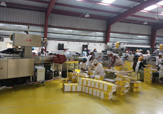 bakery consultant in tamilnadu